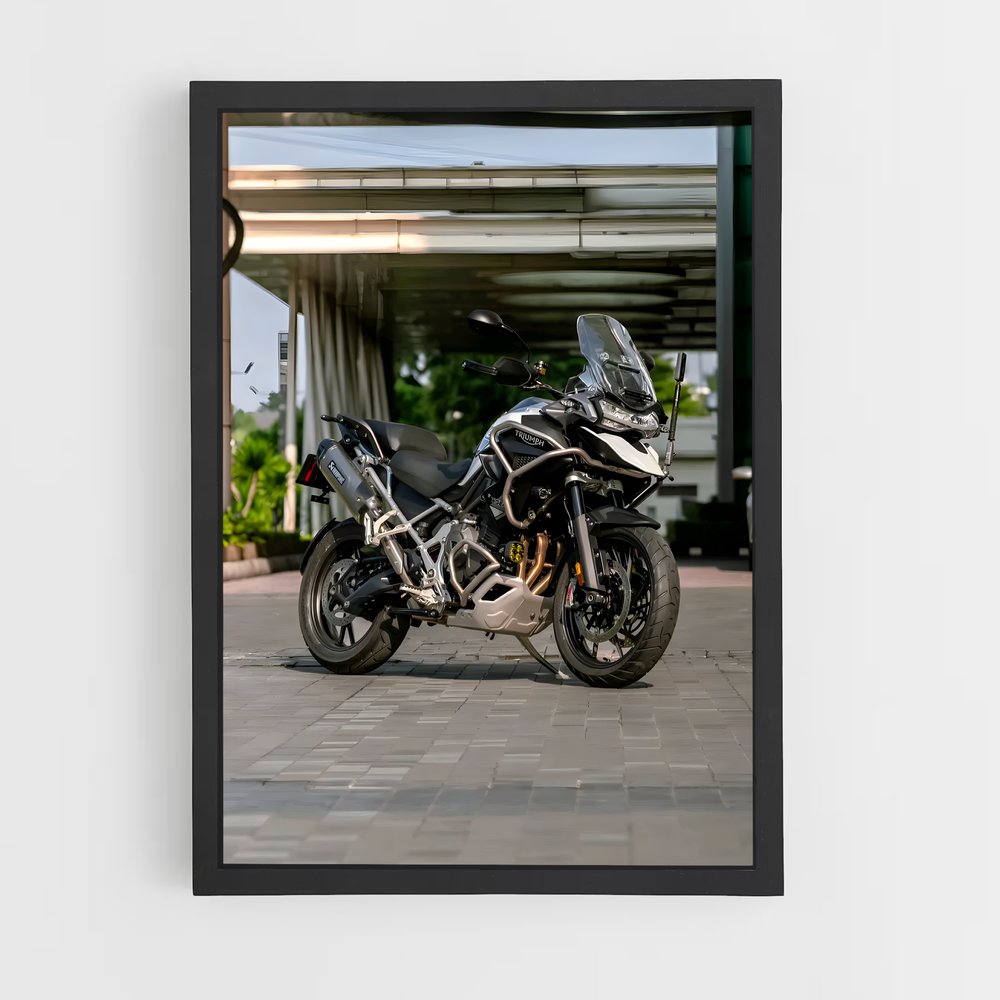 Poster Tigre Majestueux 1200 – affiche Triumph (vue 2)